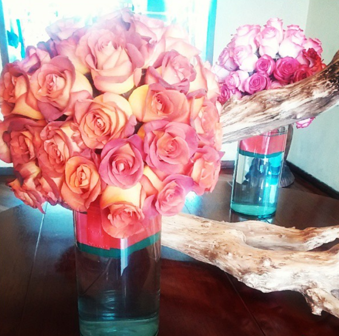 ecuador land of cacao and roses