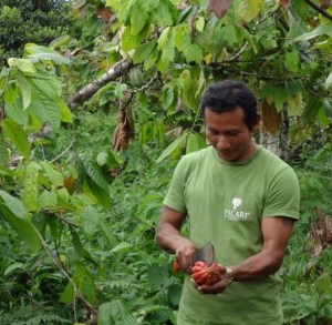 About to sample fresh cacao in Ecuador