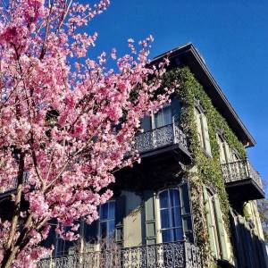 Sweet Savannah (photo: Visit Savannah)