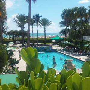 View from my room at the Surfcomber Hotel, Miami Beach