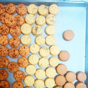 Chocolate passionfruit and more at awesome Alliance Patisserie