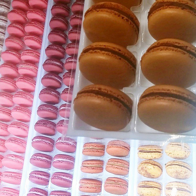 Macarons at Alliance Patisserie
