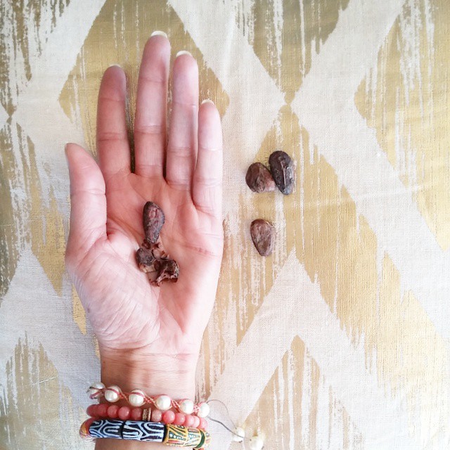 Organic Ecuadorian cacao