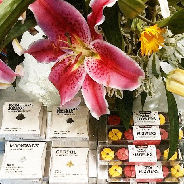 cocanu and john kiras