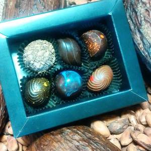 12122827_728578780605658_6933531696179739538_n