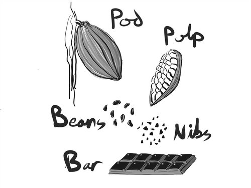 full-chocolate-graphic