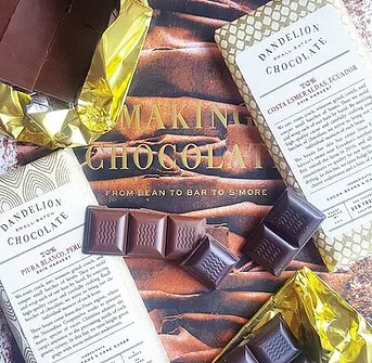 dandelion with book.jpg